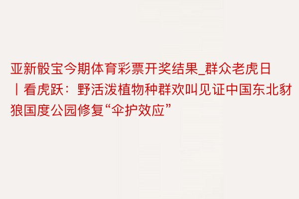 亚新骰宝今期体育彩票开奖结果_群众老虎日丨看虎跃：野活泼植物种群欢叫见证中国东北豺狼国度公园修复“伞护效应”