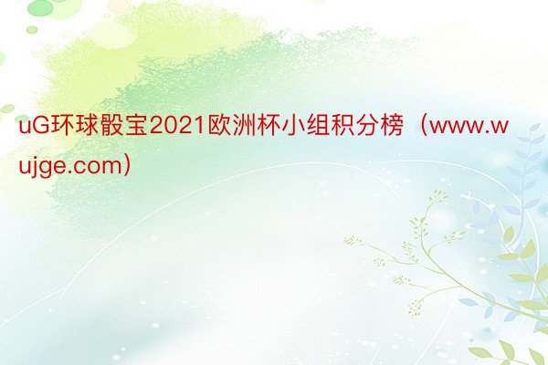 uG环球骰宝2021欧洲杯小组积分榜（www.wujge.com）