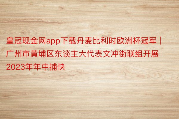 皇冠现金网app下载丹麦比利时欧洲杯冠军 | 广州市黄埔区东谈主大代表文冲街联组开展2023年年中捕快