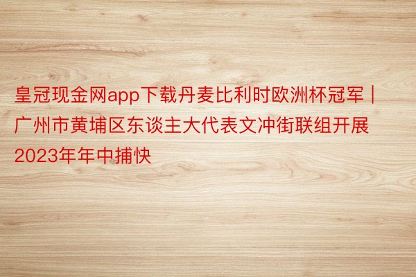 皇冠现金网app下载丹麦比利时欧洲杯冠军 | 广州市黄埔区东谈主大代表文冲街联组开展2023年年中捕快