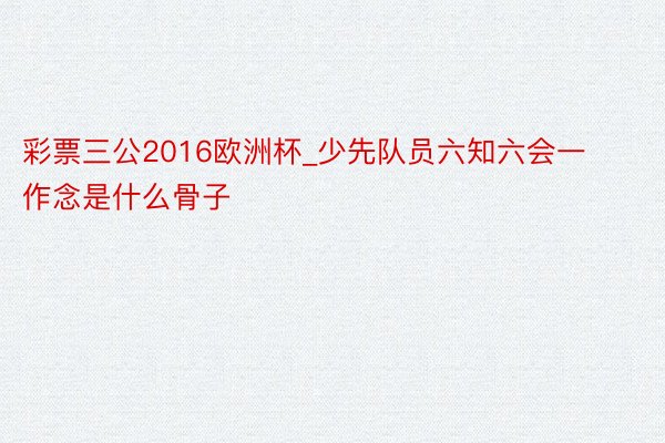 彩票三公2016欧洲杯_少先队员六知六会一作念是什么骨子